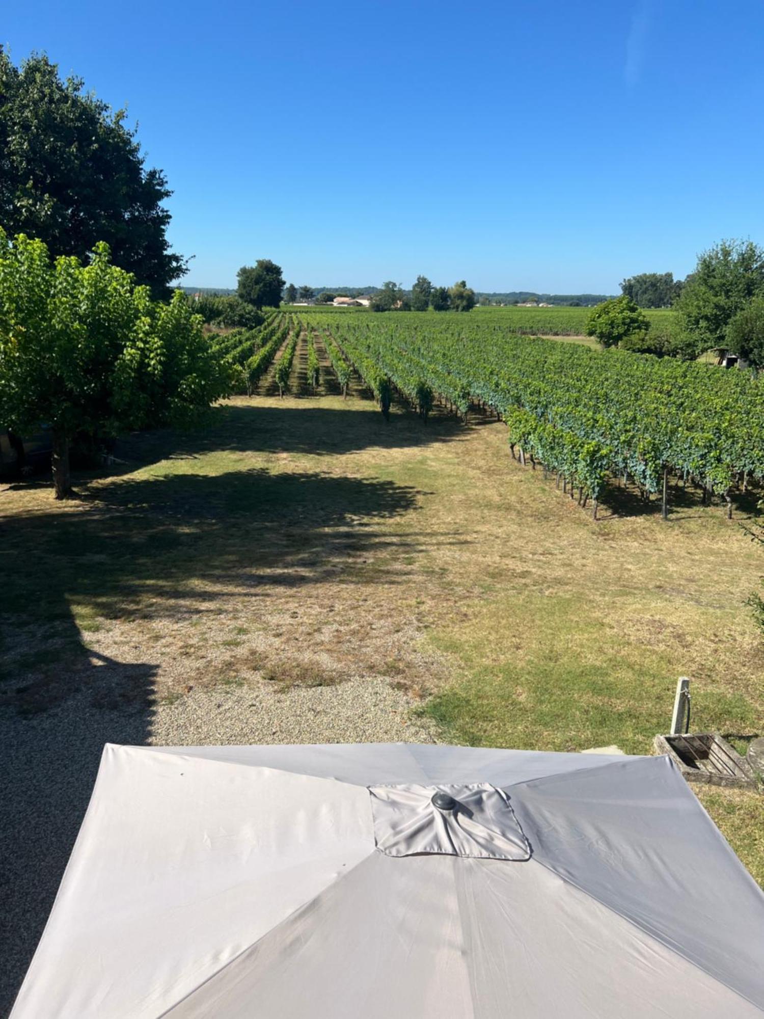 Gite Le Clos Saint-Sulpice-de-Faleyrens Экстерьер фото